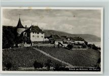 3235 Erlach - Das Schloss Bielersee
