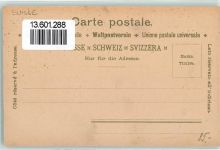 Aegerisee Lithographie Waldheim Sanatorium für Kinder von Dr. Hürlimann Aegensee vom Kindersanatorium aus