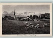 9633 Hemberg - Kühe