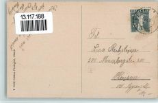 9633 Hemberg - Kühe