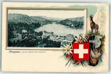 4310 Rheinfelden Lithographie / Prägedruck Grand-Hotel des Salines Wappen Gämse Wanderrucksack Pickel Edelweiss Passepartout Falten durch Kartenhülle