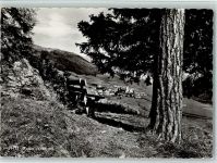 7551 Ftan - Blick nach Fetan