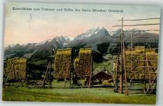7166 Trun Foto AK Korn-Histen zum Trocknen und Reifen des Korns Bündner Oberland