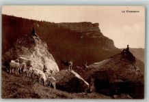 1400 Yverdon-les-Bains 1911 Foto AK Ziege Le Chasseron