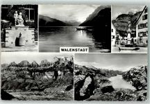 8880 Walenstadt Foto AK Foto Gross