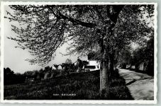 2533 Leubringen Evilard 1941 Foto AK Evilard