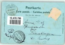 6410 Goldau 1898 Gebrauchsspuren Insel Schwanau Löwerzer See Bahnhof Lithographie/Mondschein