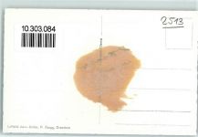 2513 Twann Gebrauchsspuren Fliegeraufnahme