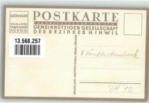 8340 Hinwil Künstlersteindruck