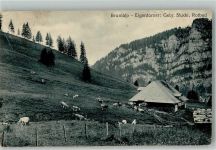 8849 Alpthal Foto AK Brunialp Pension Gasthaus