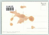 9035 Grub AR Gebrauchsspuren Fliegeraufnahme