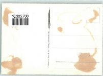 8496 Steg im Tösstal Gebrauchsspuren Fliegeraufnahme Hörnli