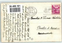 3000 Bern Berne - Kühe