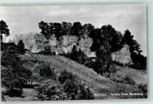 4132 Muttenz - Vordere Ruine Wartenberg