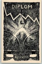 Künstlerkarte Diplom 1923 sign. Widmer AK