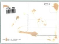 6403 Küssnacht am Rigi Gebrauchsspuren Fliegeraufnahme