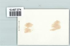 6415 Arth 1939 FOTO KEINE AK See Kirche Ufer Neujahr Foto 10cm x 7cm, rückseitig Haftspuren