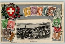 8820 Wädenswil 1909 Prägedruck Passepartout Briefmarken Verlag Guggenheim 14553