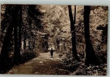 1296 Coppet Foto AK Dans le Parc