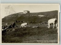 Chasseron Foto AK Hotel
