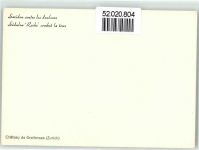 8606 Greifensee Künstlerkarte Schloss