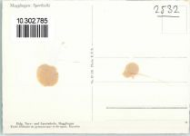 2532 Magglingen Macolin Gebrauchsspuren Eidg. Turn und Sporthalle