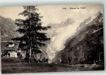 Glacier du Trient - Gletscher Ziegenherde
