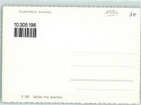 1580 Avenches - Amphitheater