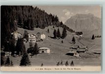 1875 Morgins 1910 - Route du Col Pas de Morgins