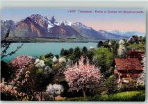 3654 Gunten - Blühende Bäume Thunersee Stockhornkette
