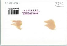 2525 Le Landeron KEINE AK Fliegeraufnahme