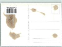 3645 Gwatt Thun Gebrauchsspuren Fliegeraufnahme Campingplatz