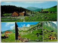 Schwägalp - Säntis Schwebebahn Kühe Omnibus