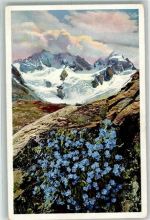 Bernina - Photochromie Serie 579 Nr. 1483 Zwergvergißmeinnicht