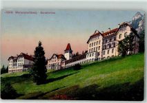 8881 Walenstadtberg - Sanatorium