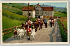 Heimkehr von der Alp , Ziege Kühe AK