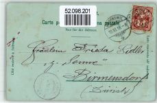 8820 Wädenswil 1898 Lithographie / Mondschein Postamt Hotel Kirche Dampfschiff