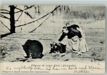 3000 Bern Berne 1905 - Fütterung der jungen Bären im Bärengraben