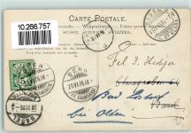 3000 Bern Berne 1905 - Fütterung der jungen Bären im Bärengraben