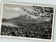 6403 Küssnacht am Rigi 1934 Foto AK