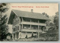 3764 Weissenburg Foto AK Pension zum Bergli