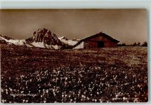 7516 Maloja - Almhütte Hüttenstempel