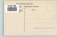 8000 Zürich - Eidgenössisches Sängerfest 1905 Fahnen Sänger