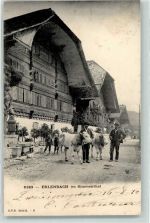 3762 Erlenbach im Simmental 1910 Gebrauchsspuren Simmentaler Bauern mit ihren Kühen