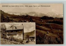 8636 Wald ZH - Krinnen Blick gegen Speer und Mürtschenstock Pension Glärnischblick
