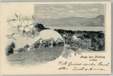 8712 Stäfa 1906 - Gruß vom Frohberg