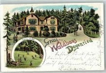 8000 Zürich 1906 Lithographie Gasthaus Waldhaus Degenried Spielplatz