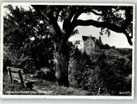 8268 Salenstein 1956 Foto AK Schloss