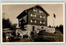 8808 Pfäffikon SZ - Ski und Ferienheim Sonnenberg Kühe