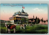 Pfannenstiel Gebrauchsspuren Hotel Kurhaus Hochwacht Kühe